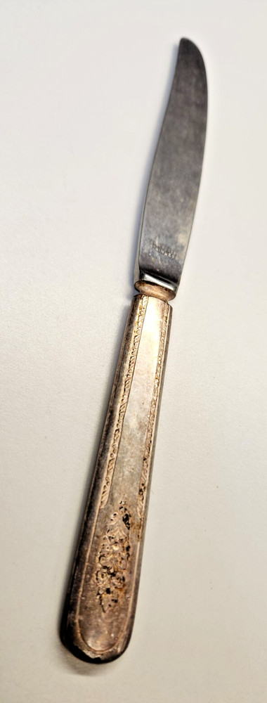Wm Rogers Silverplate Flatware ~ 9" Dinner Knife
