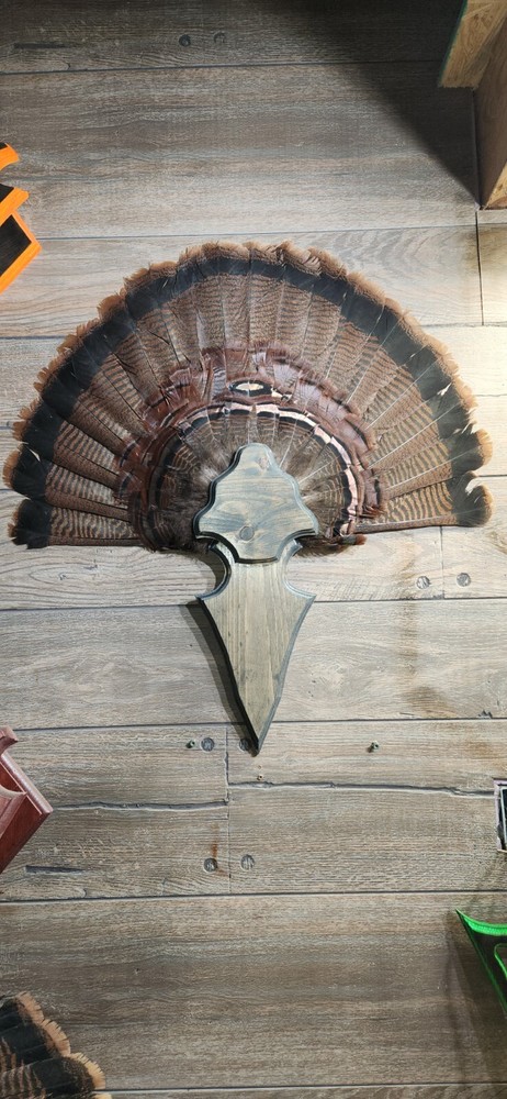 Turkey Fan Plaque Arrowhead SG