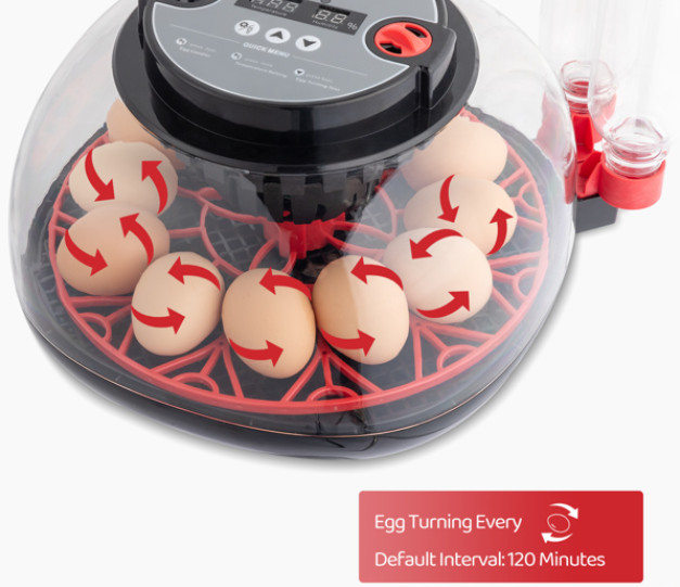 US 12 Egg Incubator with Automatic Egg Turning, Temperature and humidity Control