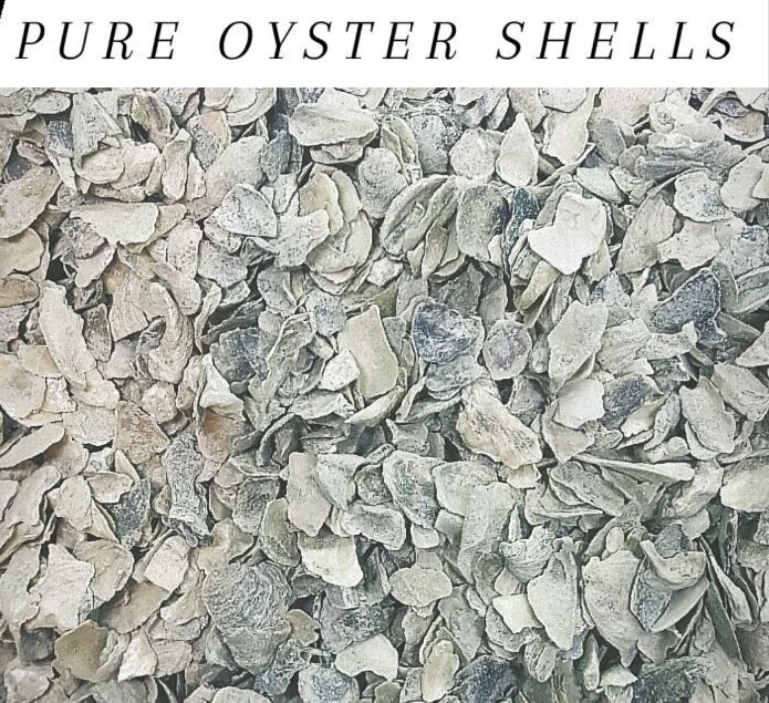 PURE Oyster Shells Calcium Grit for Birds & Chickens BULK ***Choose Size***