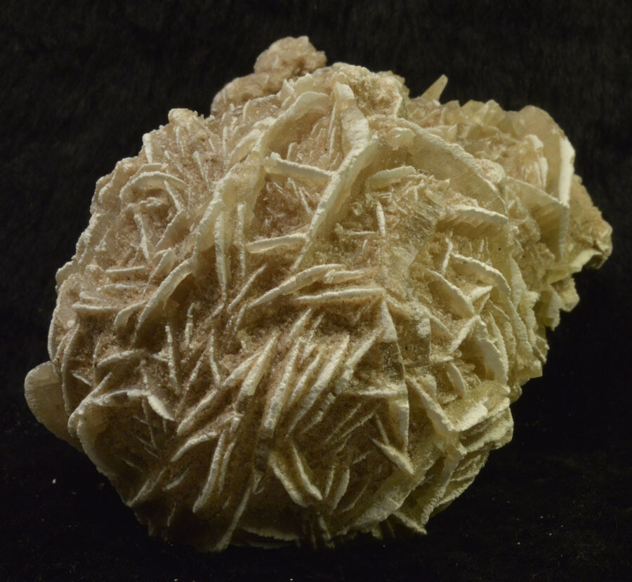 #2186 LARGE Selenite Rose - Mexico [Double Ball]