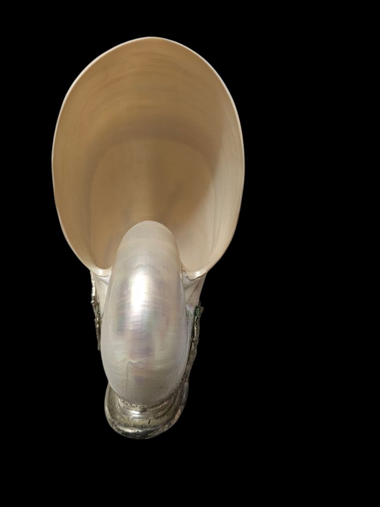 Decorative Silver Encased Chambered Nautilus sea shell