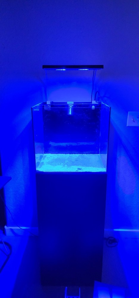 Waterbox 20 gallon AIO Full Aquarium