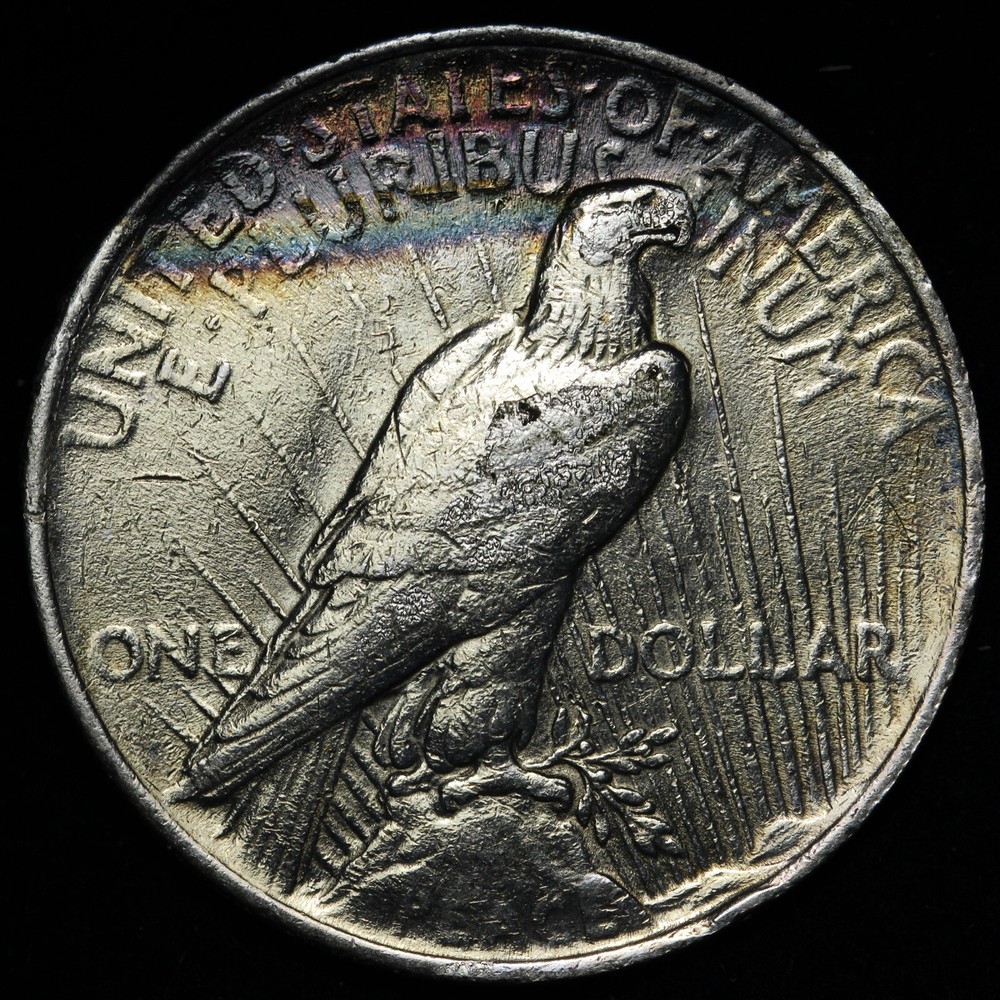 1922 Peace Silver Dollar TONED E381 T