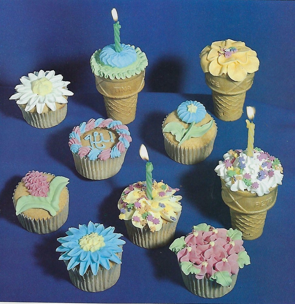 Cake Decorating for Beginners Vintage 1970's Craft Instruction Book