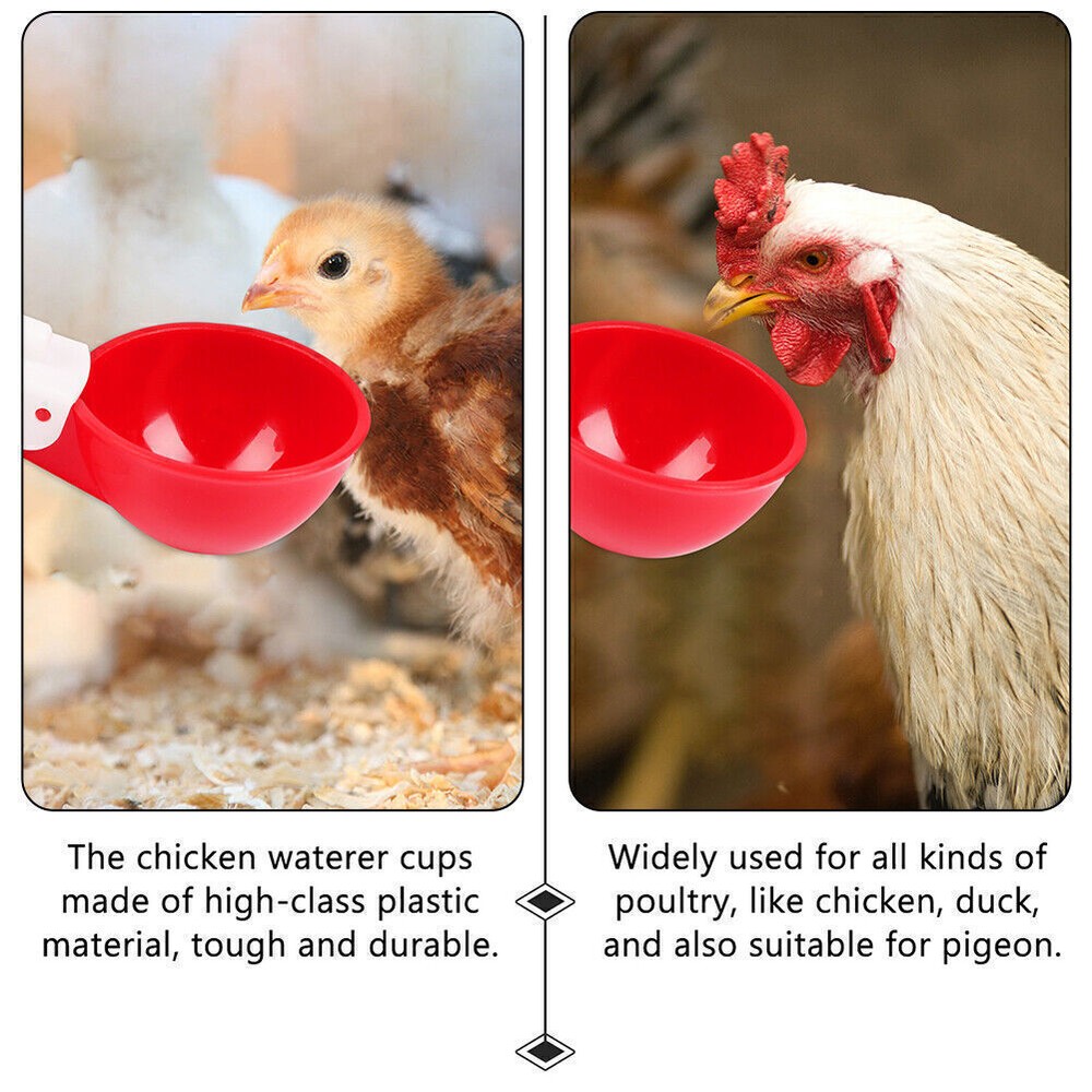 8 PCS Automatic Water Cups Poultry Drinker Waterer Chicken Duck Quail Drinking