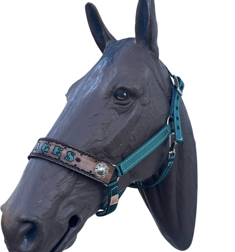 Personalized Nylon Horse Halter In Teal