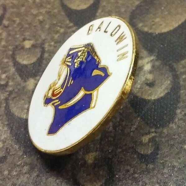 Baldwin Panthers pin badge