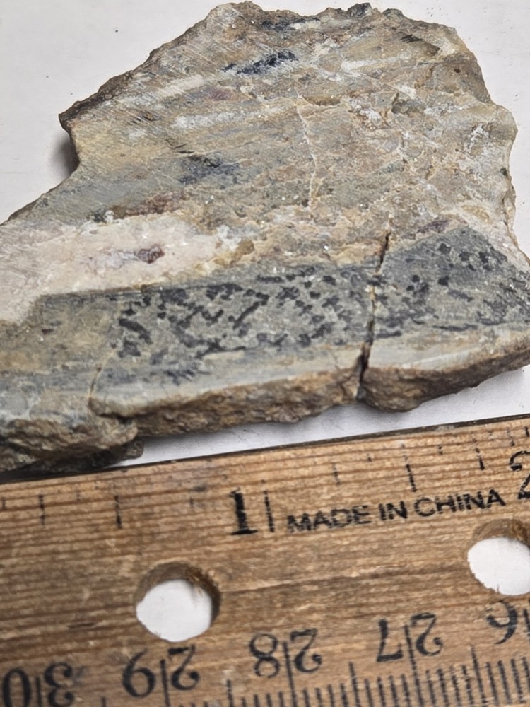 Beautiful Native Silver specimen