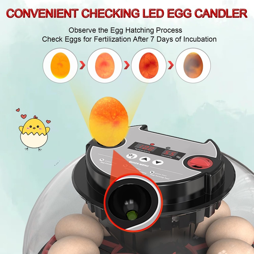 12 Egg Incubator Hatching Automatic Turning Humidity Control Chicken Duck