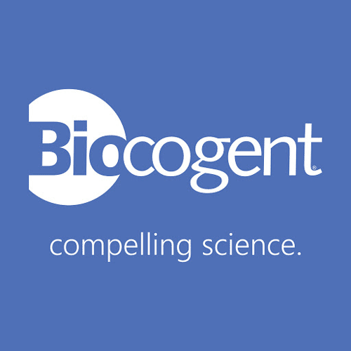 Minimalist Logo Design Service