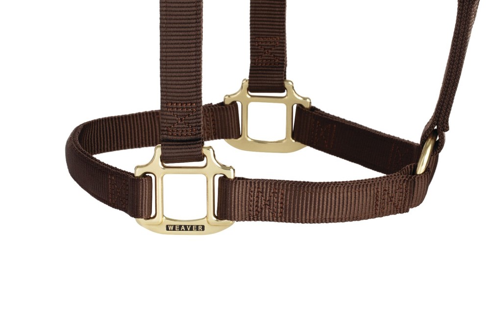 Original Non-Adjustable Halter , 1" Brown