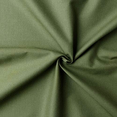 Nippon Chuko Eighty Square Fabric Light Olive KD4630-139-3M