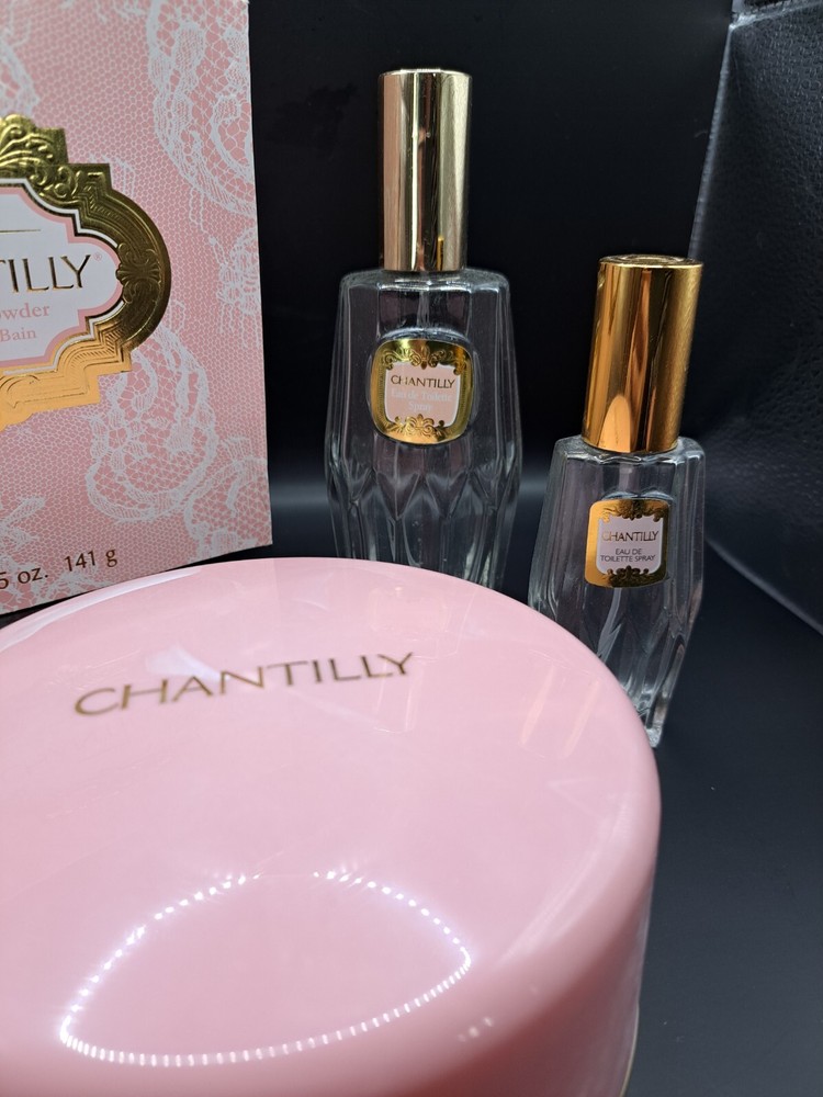 Vintage Chantilly Dusting Powder Box Solid Pink Plastic Case Empty