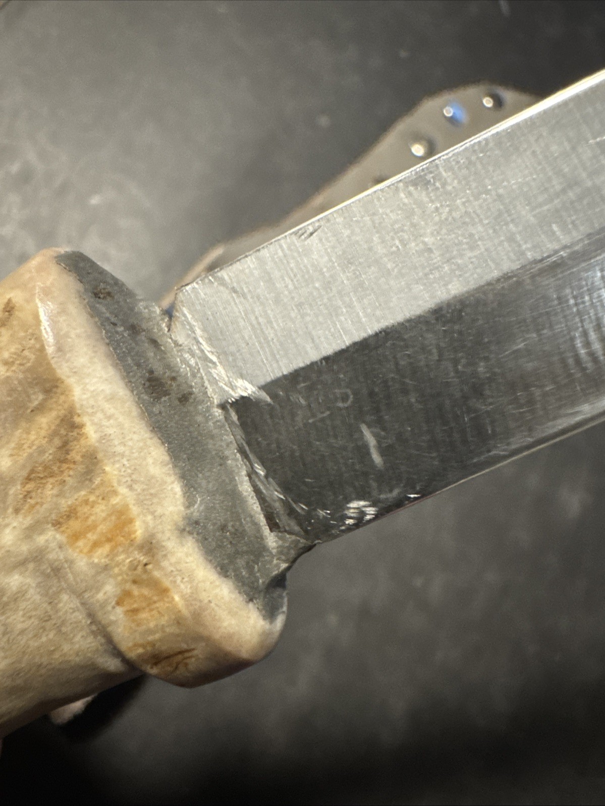 Vintage Bone Handle Antler Knife Stag Silver 6” Blade