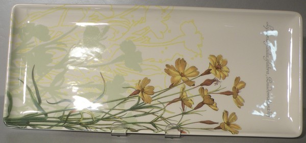 NEW Oblong Serving Tray Herbier du Roy Pattern Gien
