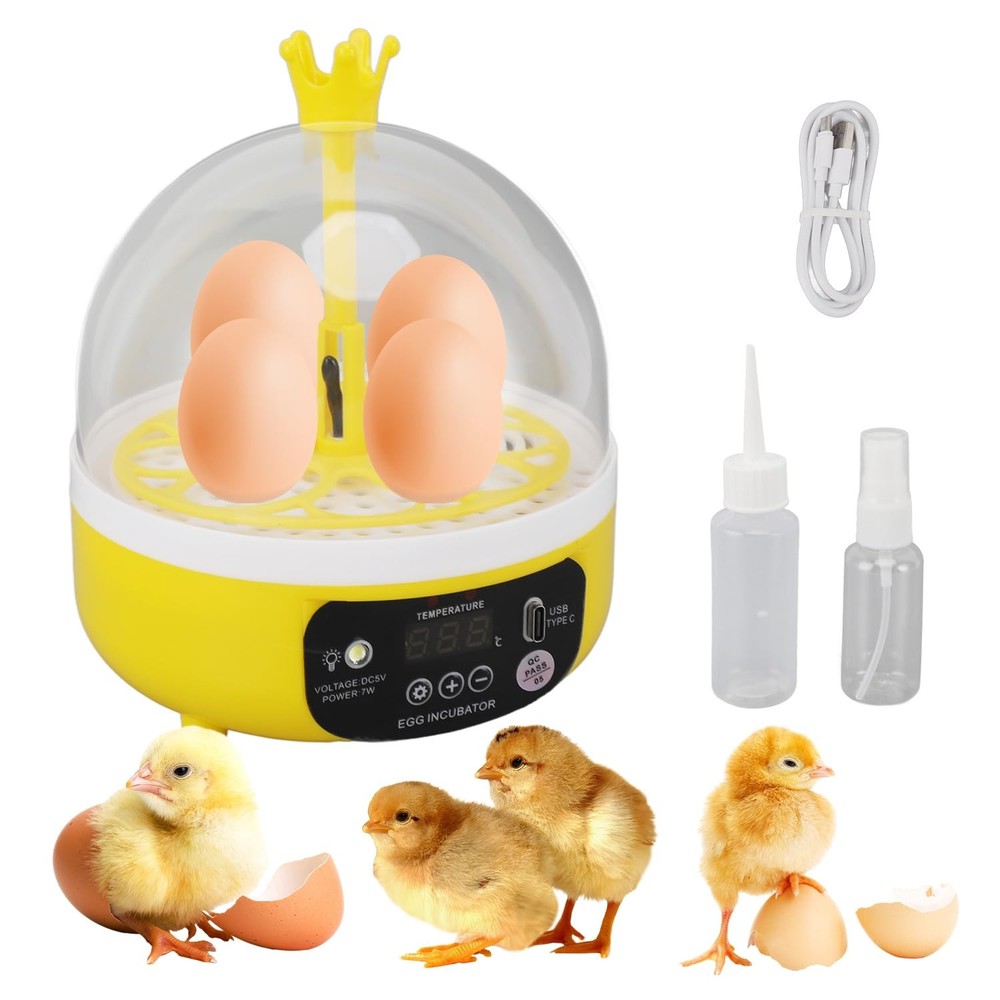 4 Eggs Mini Incubator with Transparent Lid,7W Automatic Temperature Humidity ...