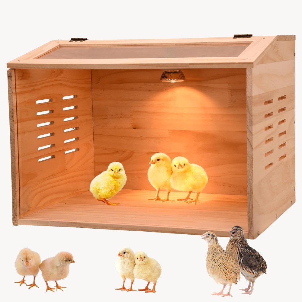 Brooder Box for Chicks, 3-8 Chicken Heater, Poultry Brooder with Heaters for