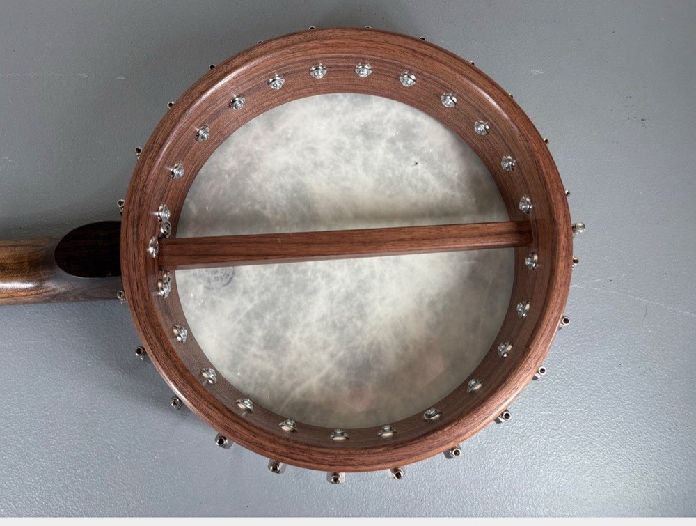 5-String Open-Back Banjo with Case in Excellent Condition, Nylon Strings