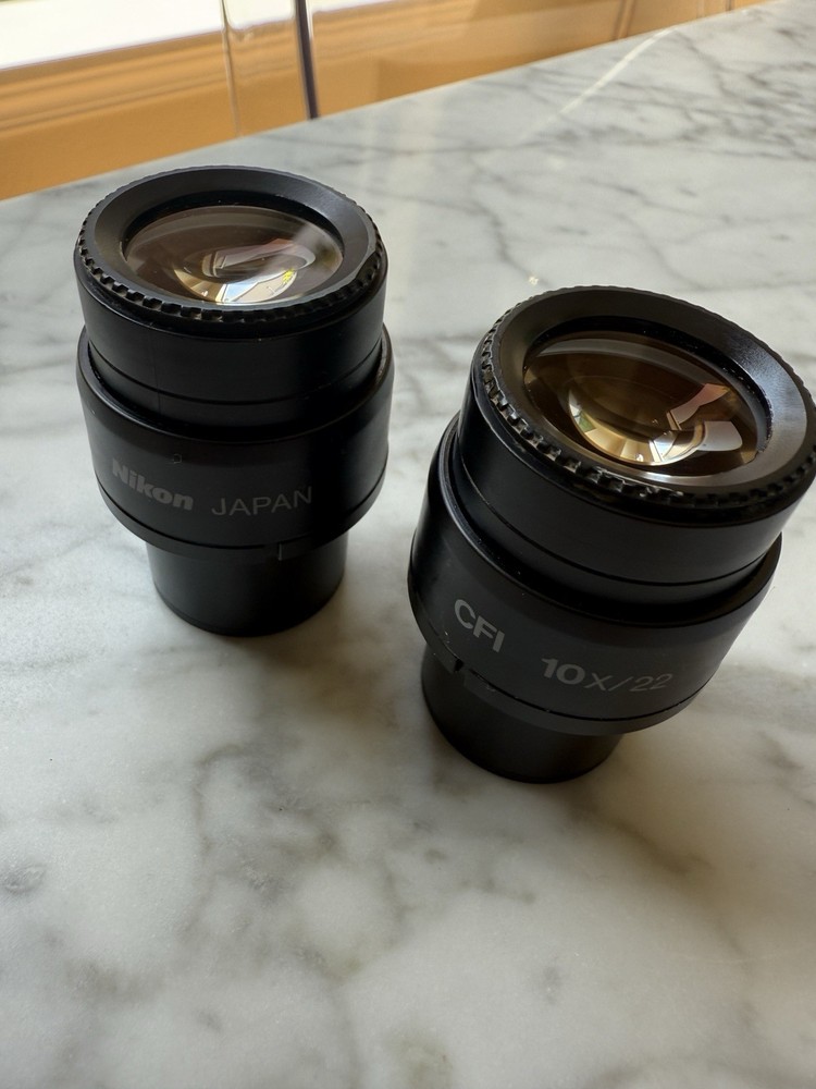 Pair Nikon Eclipse 80i 90i Microscope Eyepiece Occulars CFI 10x/22