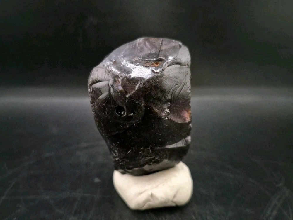 Real Fossil Dinosaur Egg Opalized