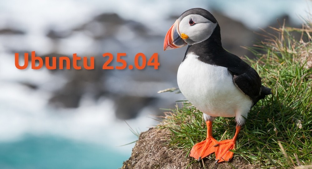Ubuntu 25.04 Desktop Bootable USB Live/Installer – Experience Cutting-Edge Linux