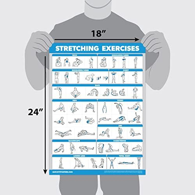 QUICKFIT Stretching Workout Exercise Poster - Stretch Routine (Laminated, 18"...