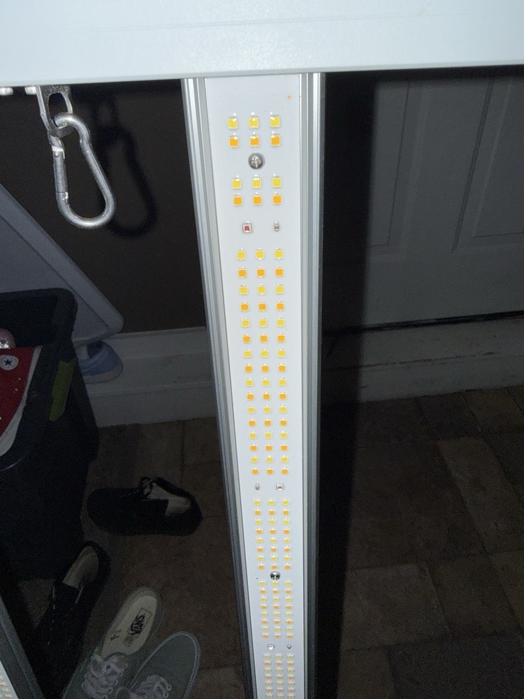 medic grow led grow light
