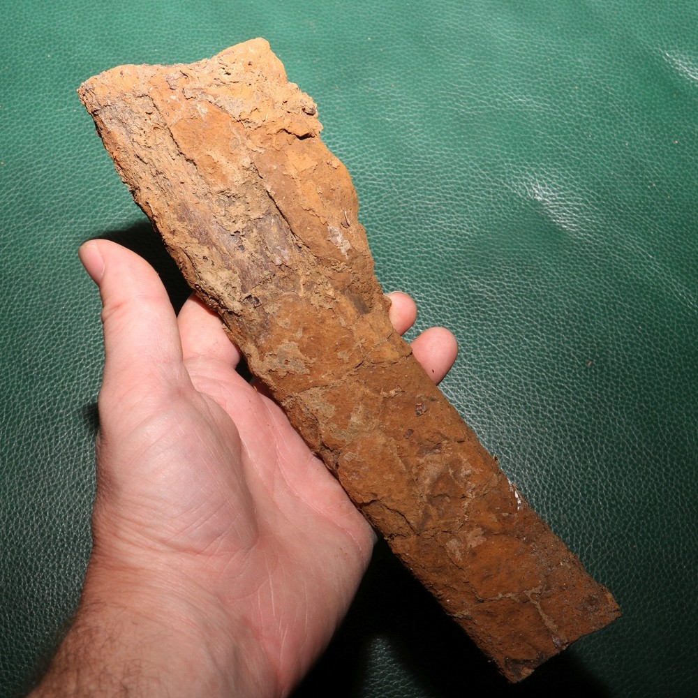 Nice DINOSAUR RIB Section - Authentic Fossil Hell Creek Formation Specimen