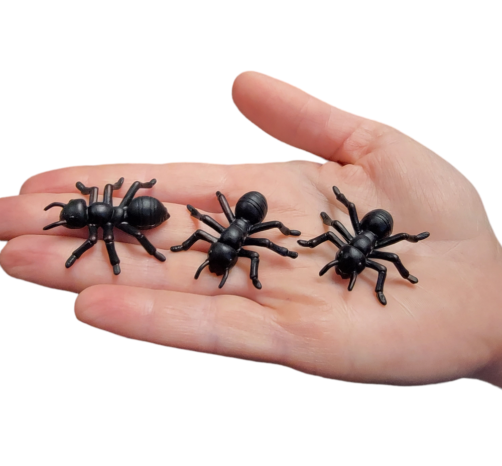 Large Black Carpenter Ant Toys (72 Pack) Plastic. 1.5"