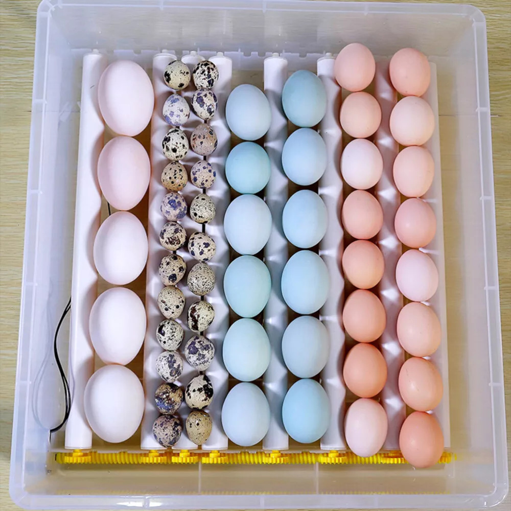 36 Egg Incubator with Auto-Turning, Temperature & Humidity Control Egg Hatcher