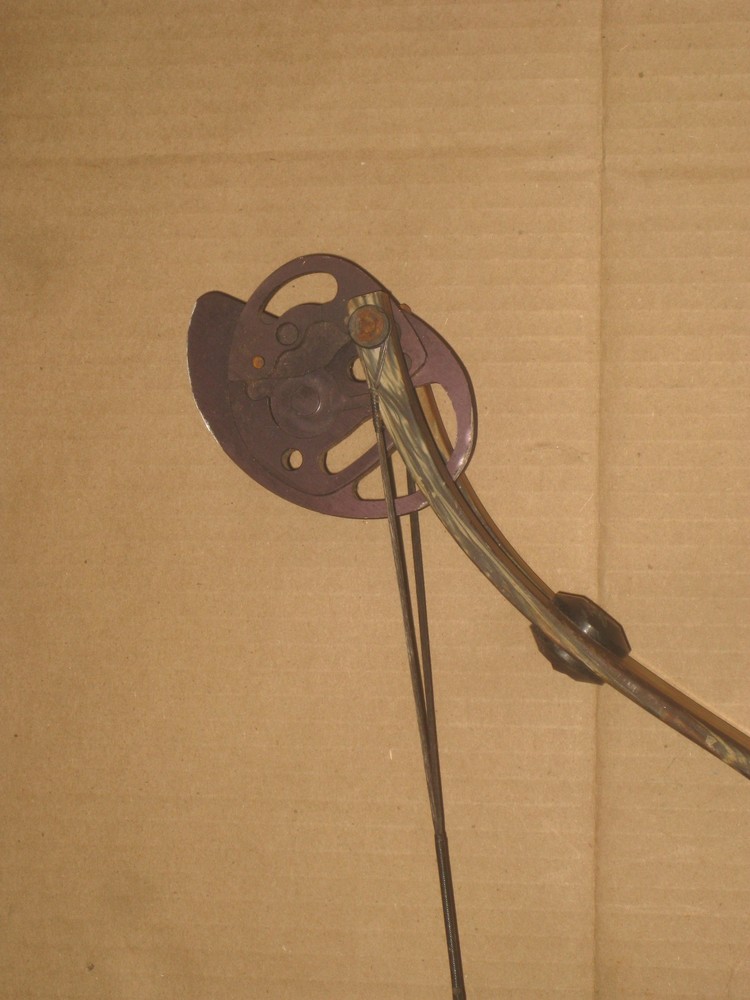 Golden Eagle Evolution Compound Bow