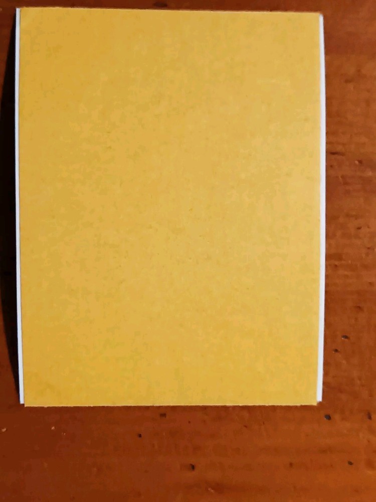 KISS Spring Tour '75 Backstage Sticker 2006 MTVN Kiss Catalog