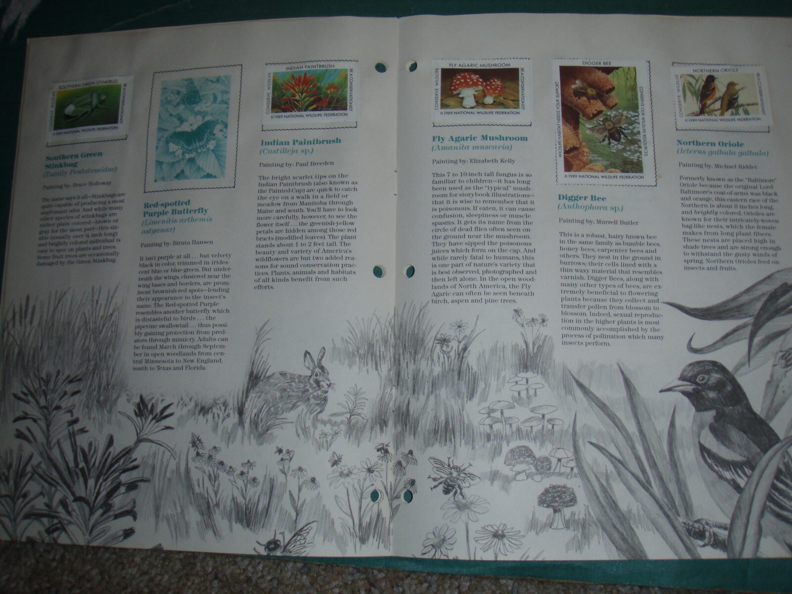 usa stamps collections lots-19th century forward on old album pages