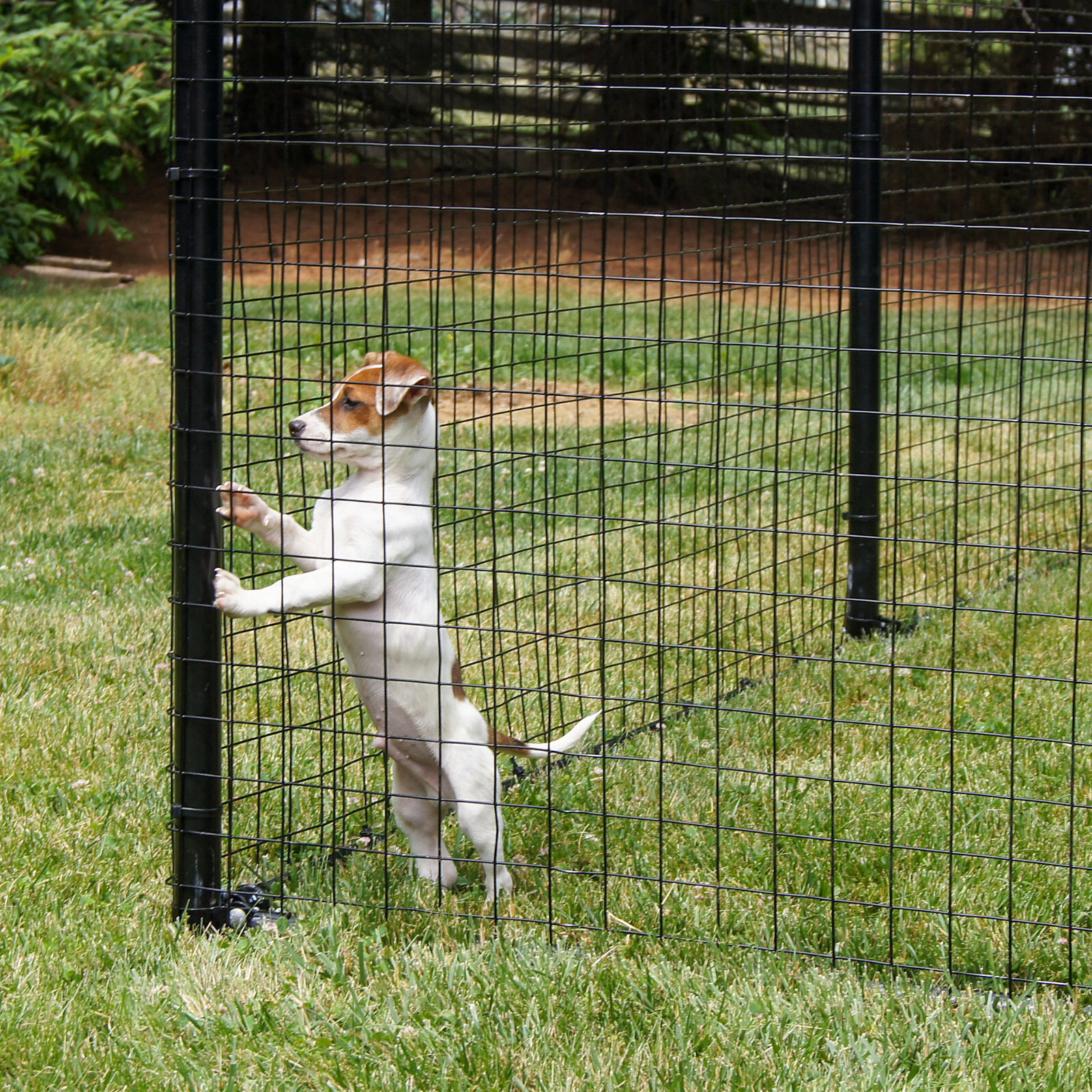 EasyPetFence No Dig Dog Fence Kit - Multiple Mesh Types - 6' x 100'