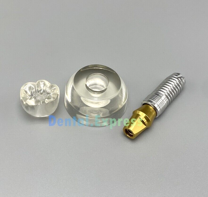 M2020 Dental Implant Model Demonstration Teeth Study Teaching Models Detachable