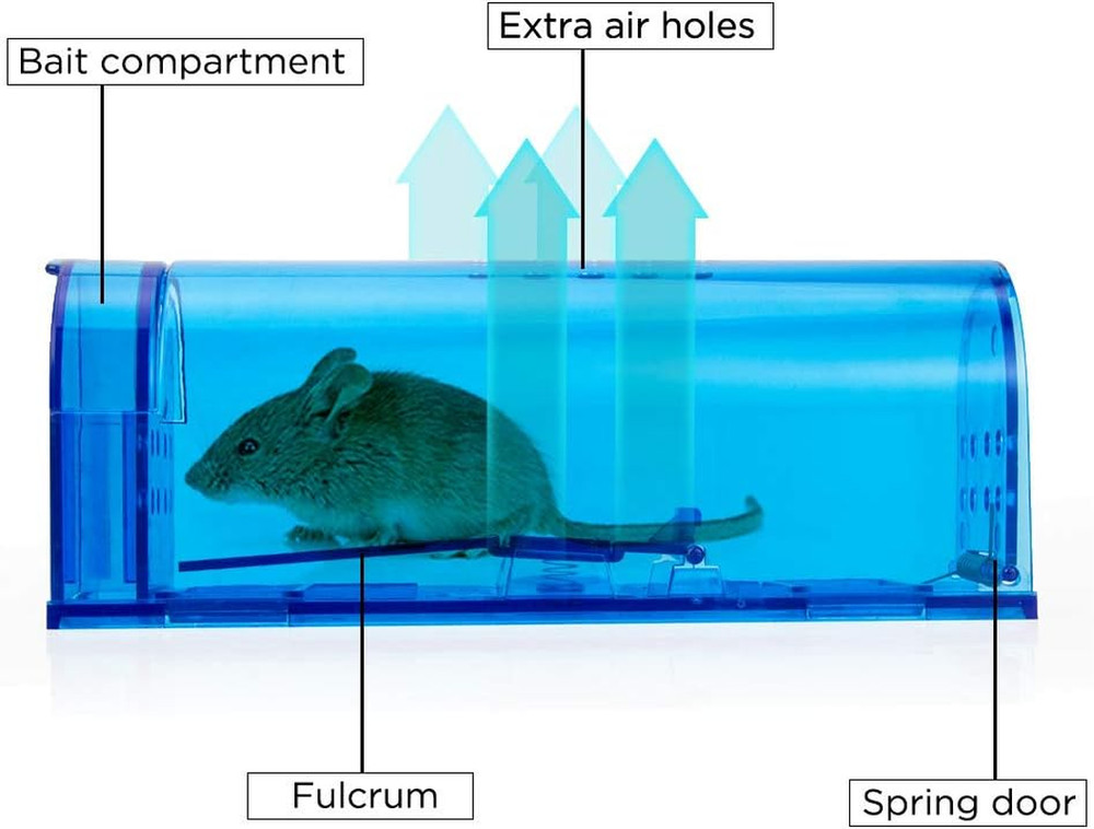 Humane Mouse Trap | Catch and Release Mouse Traps That Work | Mice Trap No Kill