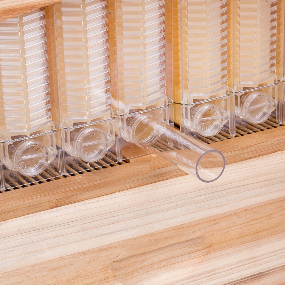 Auto Seep Beehive Beekeeping Hive Beekeeping Bee Boxes +7 Honey Bee Hive Frames