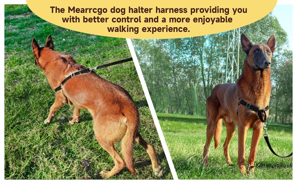 No Pull Dog Harness with Dog Leash, Easy to Control Walking Harness (Medium)