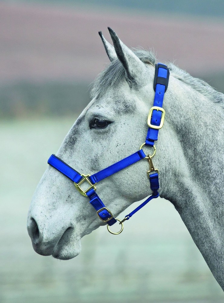 Topaz Leather Breakaway Nylon Headcollar Navy Extra Full