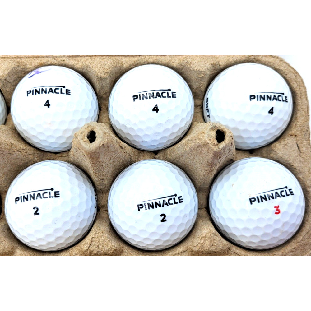 One Dozen PINNACLE Golf Balls Good Used