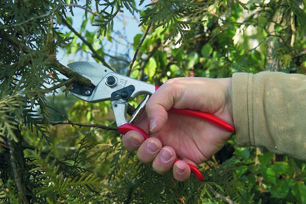 Felco 31 Pruning Shear, Anvil Style, Swiss Made, High Performance