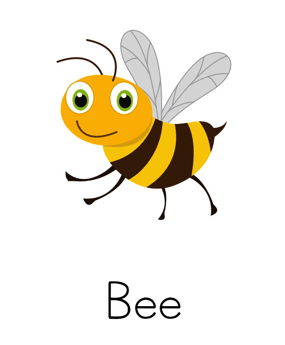 Printable Illustrated Insect Flash Card - A4 / A5 Sizes