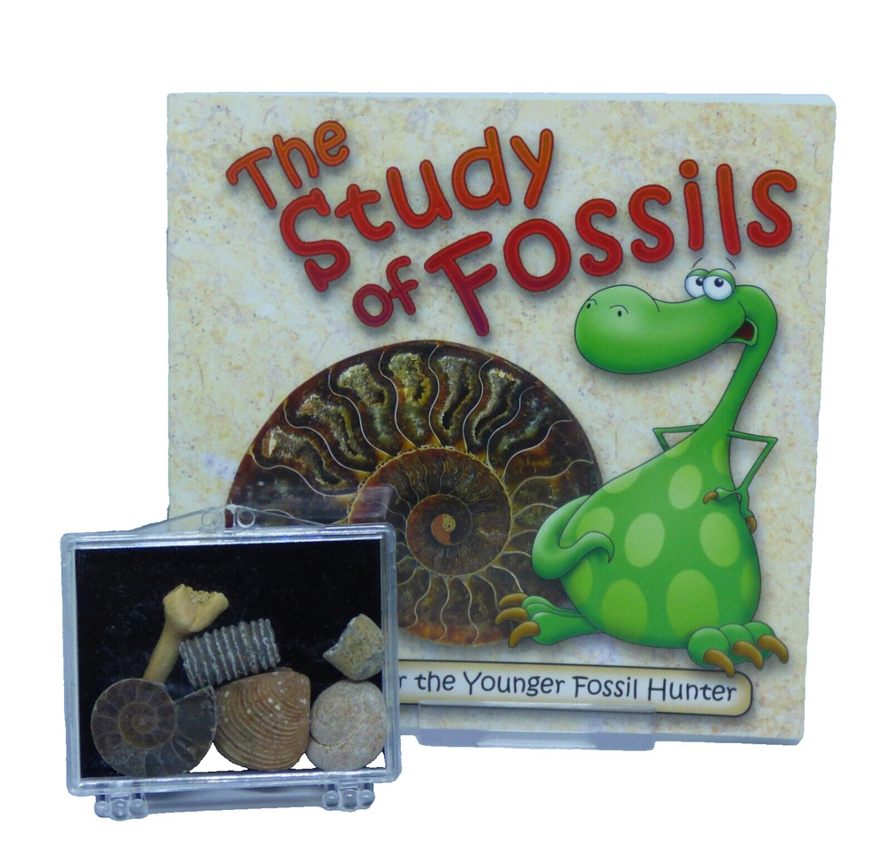 Small Junior Tiny Fossil Selection Educational Gift Idea + Fossil Study Booklet