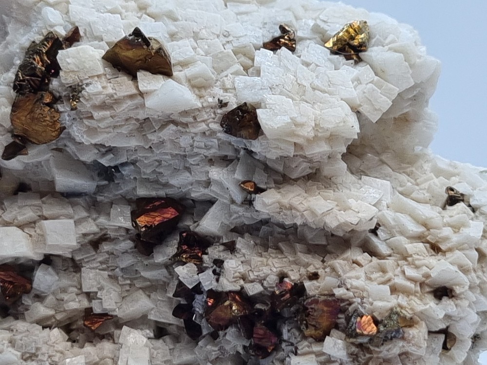 Minerals◇Calcipyrite with Siderite origin Breislar Germany