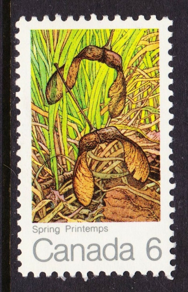 CANADA NO 535, MAPLE LEAVES: SPRING (TREES)  MINT NH