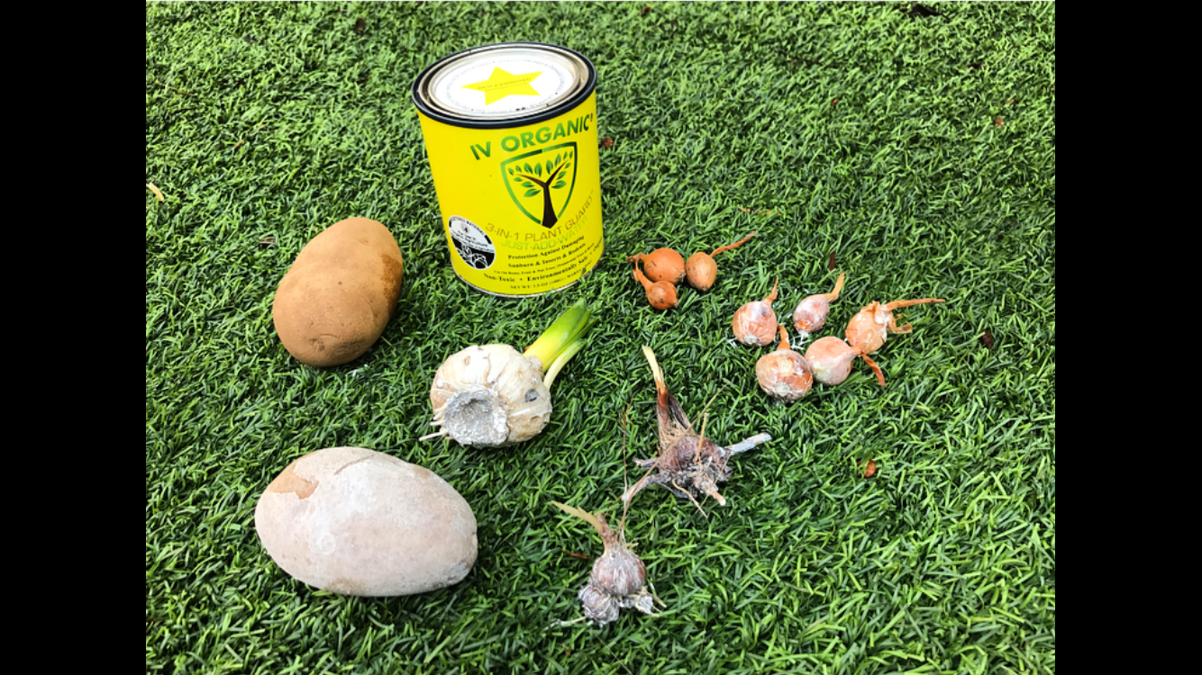 IV Organic 3-in-1 Plant Guard, 1 Pint (BROWN)