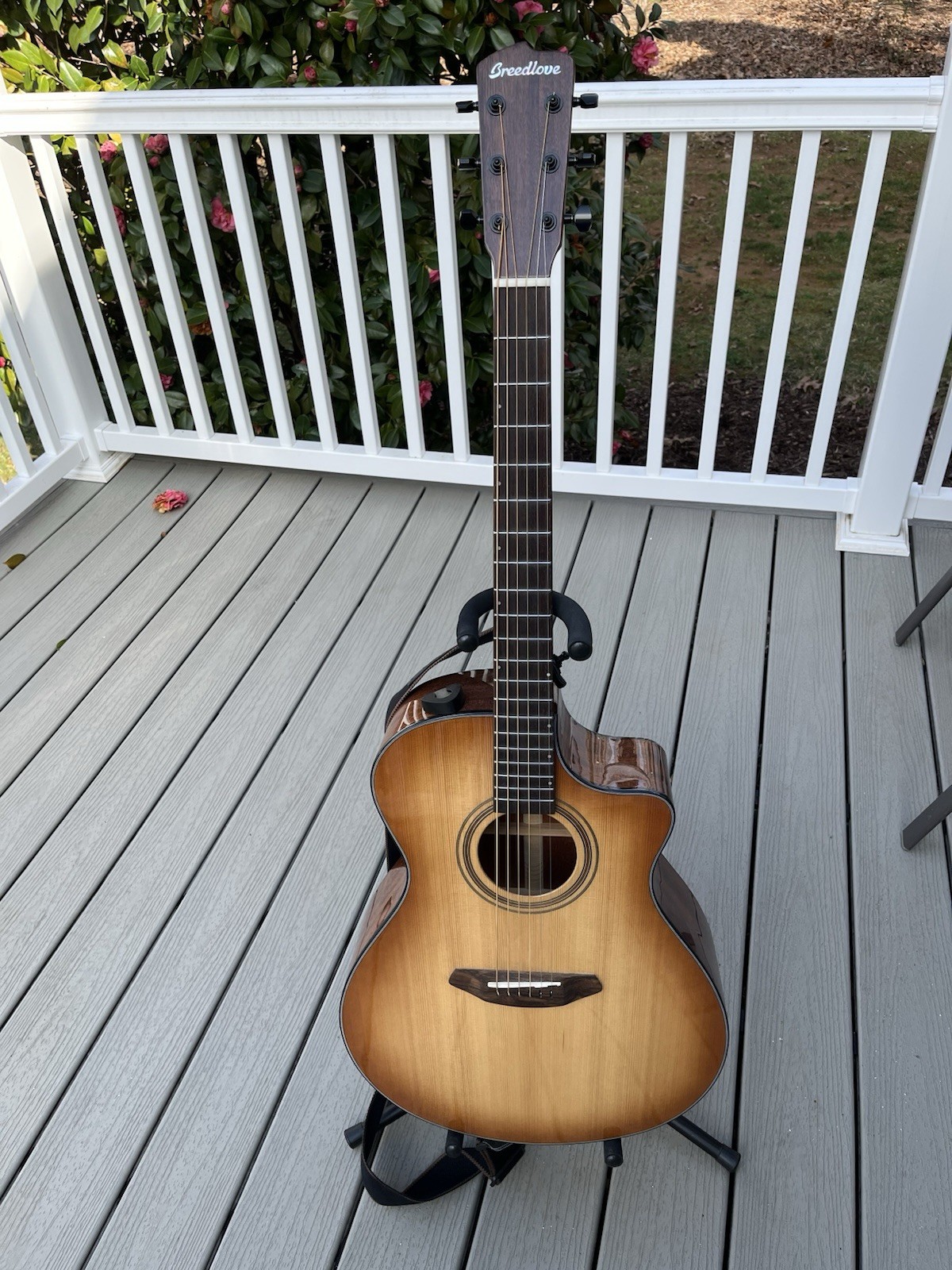 Breedlove concerto copper CE- all solid woods!