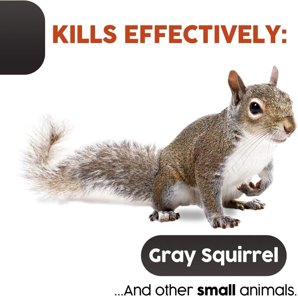 High-Quality Squirrel Trap - Efficient Extermination=
