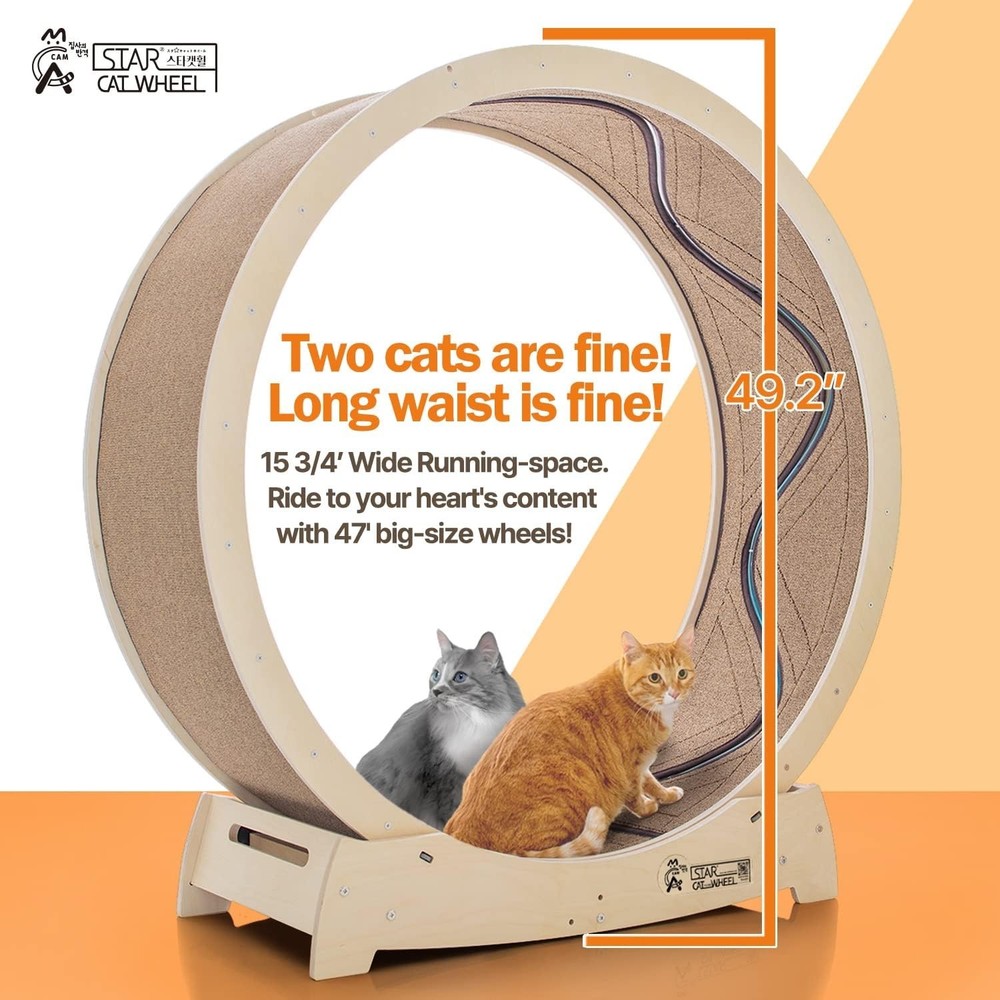 Large Cat Exercise Wheel for Climbing and Scratching, Safe and Durable Materials